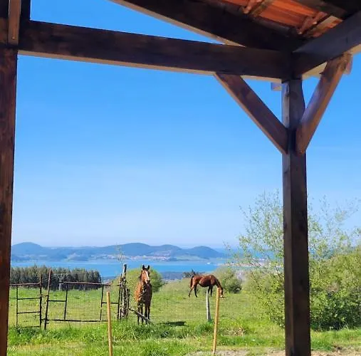 펜션 La De Sena 라레도